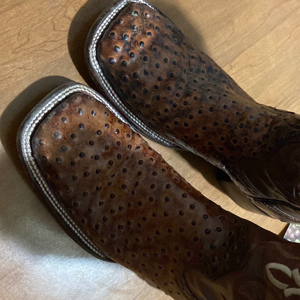 They need to go to a new home